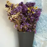 Ktima Petalea Hébergement de vacances