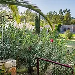 Ktima Petalea Hébergement de vacances Gythio