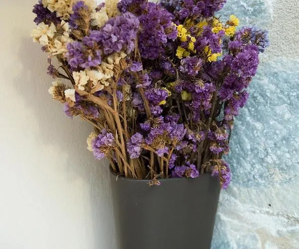 Ktima Petalea Vakantiehuis