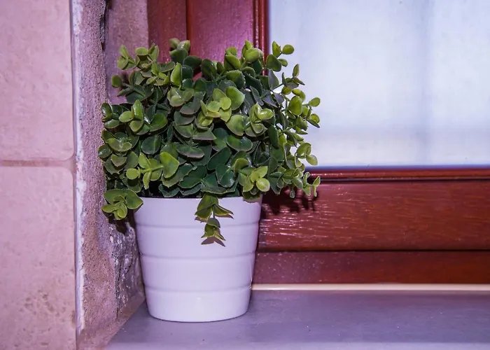 Ktima Petalea Vakantiehuis