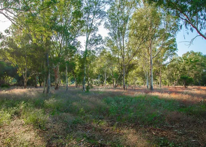 Ktima Petalea Vakantiehuis *