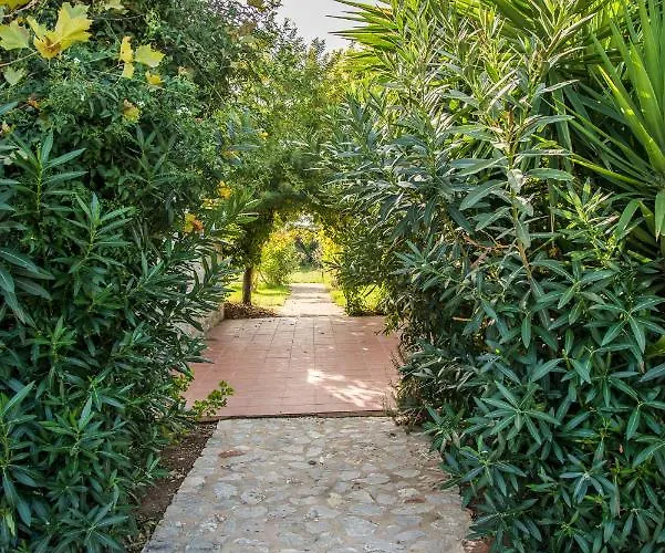 Ktima Petalea Vakantiehuis *