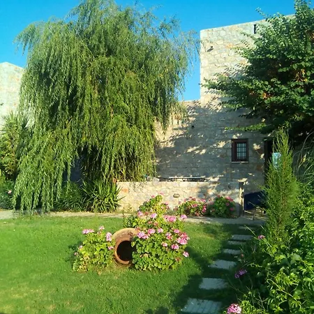 Ktima Petalea Gytheio