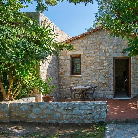 Ktima Petalea Holiday home