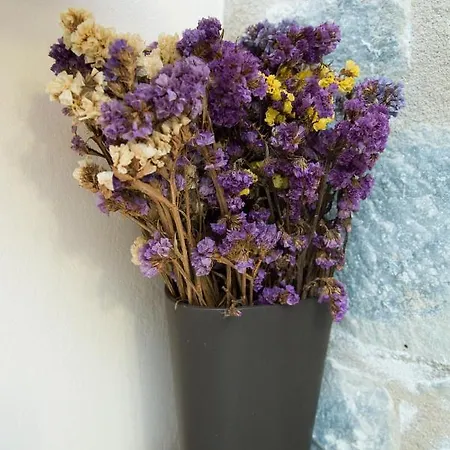 Ktima Petalea בית נופש