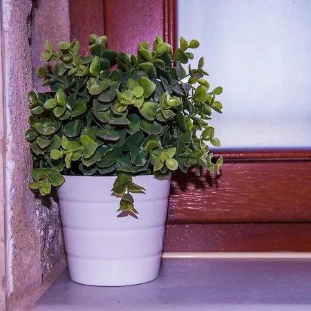 Ktima Petalea Feriehus