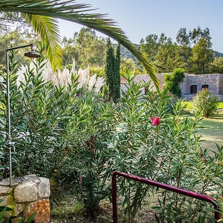 Ktima Petalea Holiday home Gythio