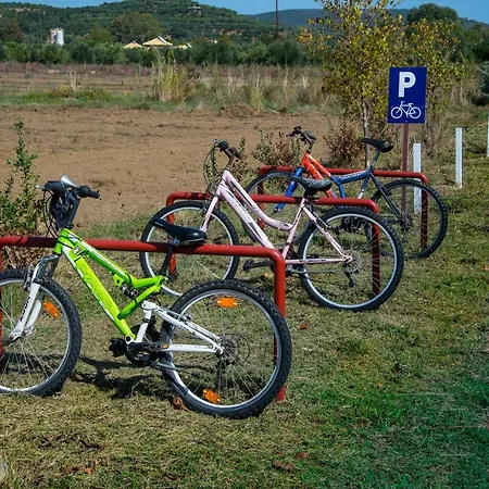 Ktima Petalea ギシオ