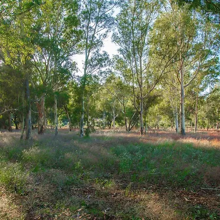 Ktima Petalea 別荘 *